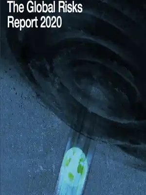 المخاطر العالمية 2020