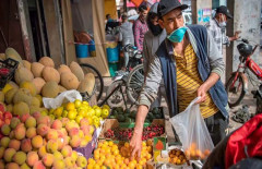 World Bank warns of rising global food prices